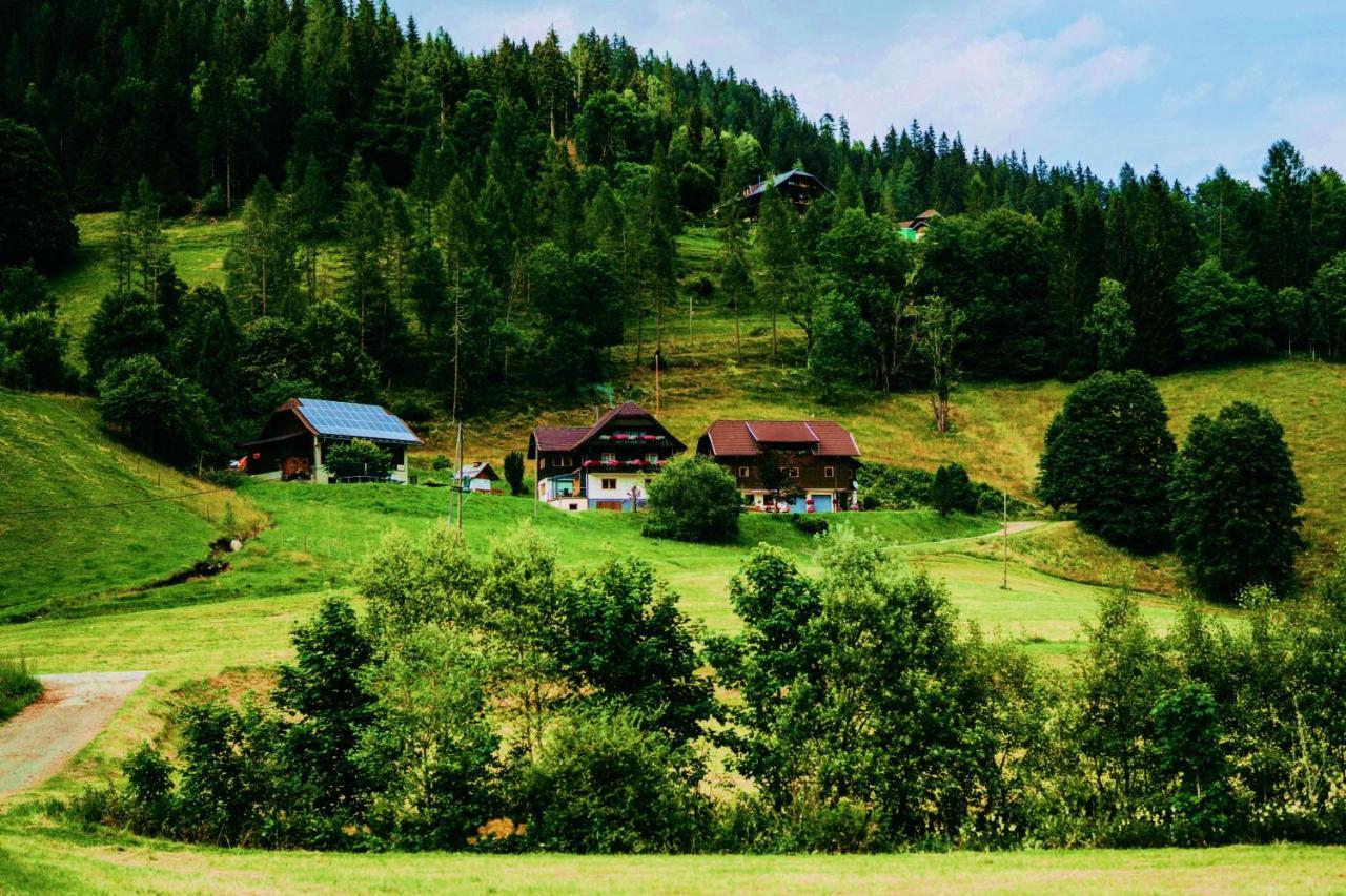 Appartement Vidmar-Feriengluck Arriach Buitenkant foto