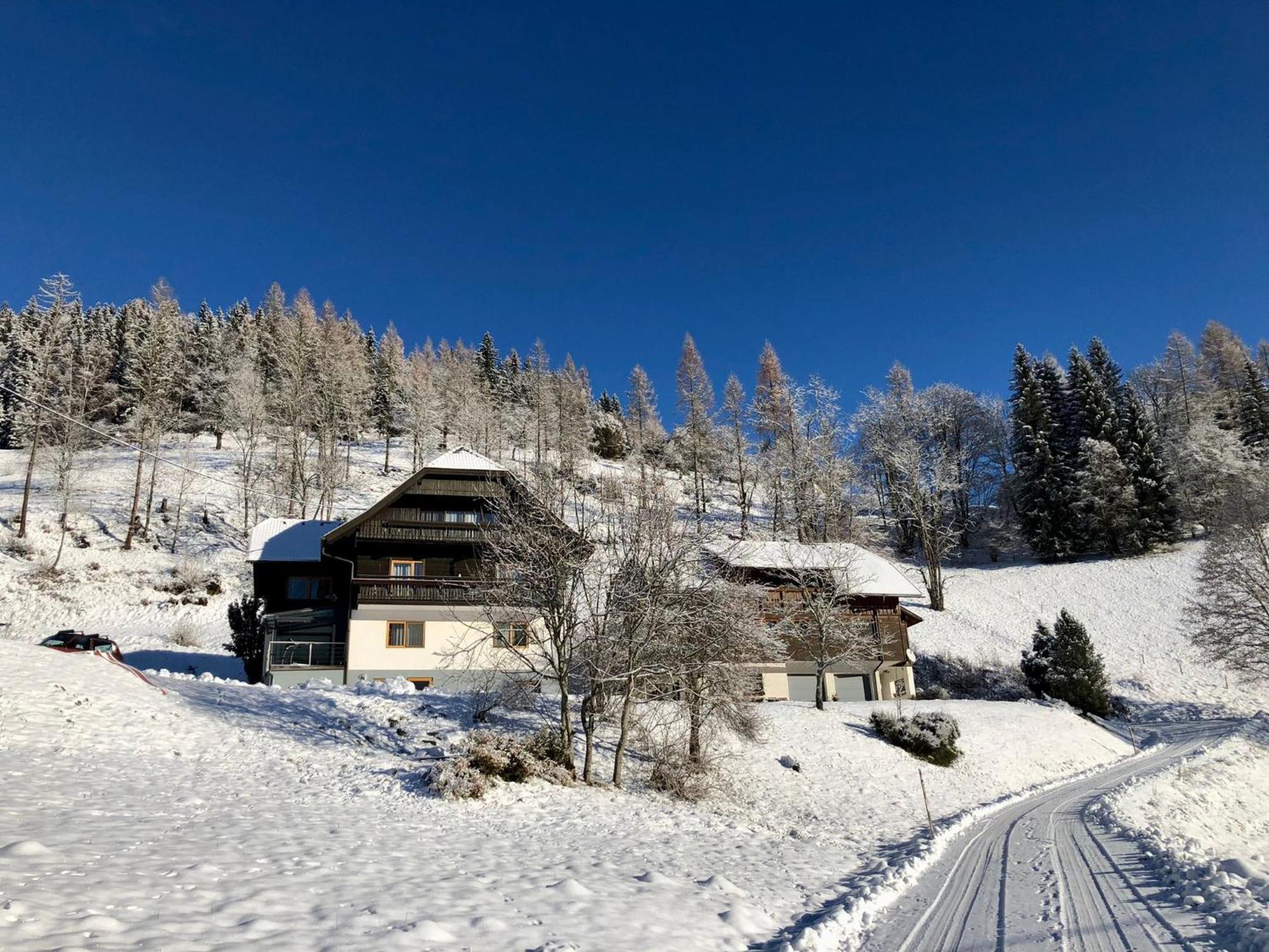 Appartement Vidmar-Feriengluck Arriach Buitenkant foto