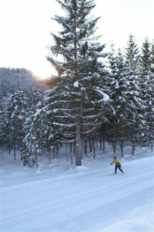 Appartement Vidmar-Feriengluck Arriach Buitenkant foto